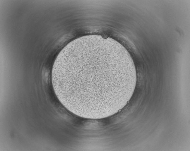 X0000114520123200911161324