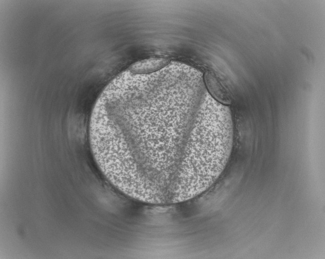 X0000114520129200911161324