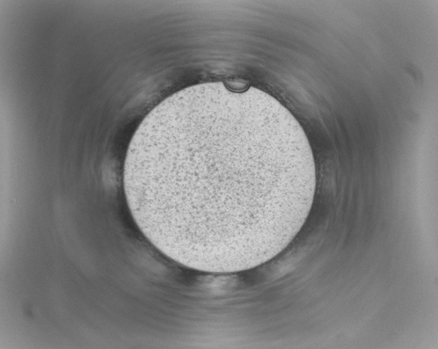 X0000114520135200911161324