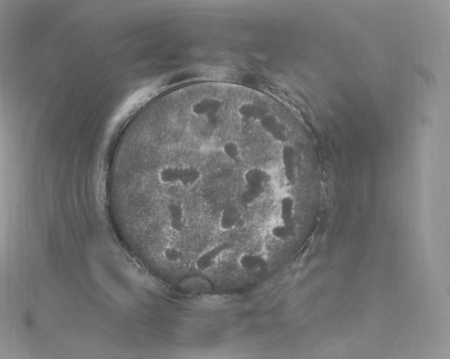 X0000114520149200911161323