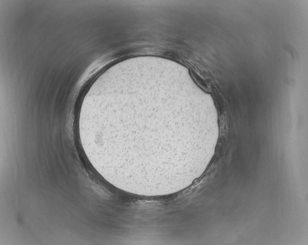 X0000114520150200911161323