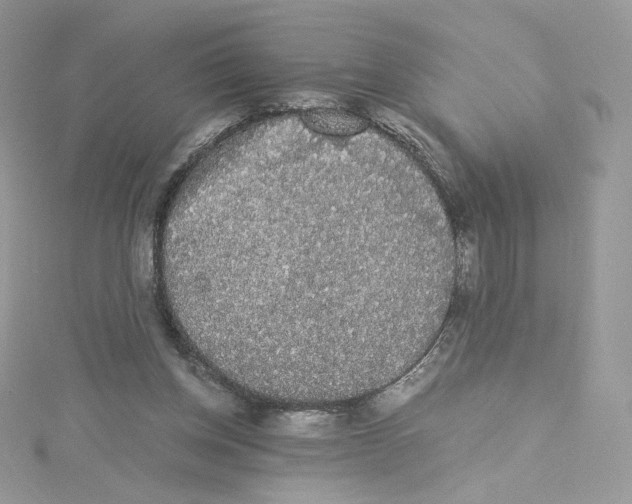 X0000114520158200911161323