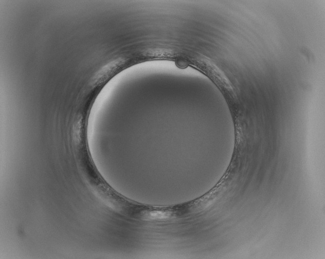 X0000114520163200911161324