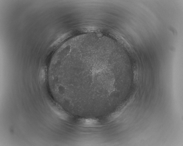 X0000114520165200911161324