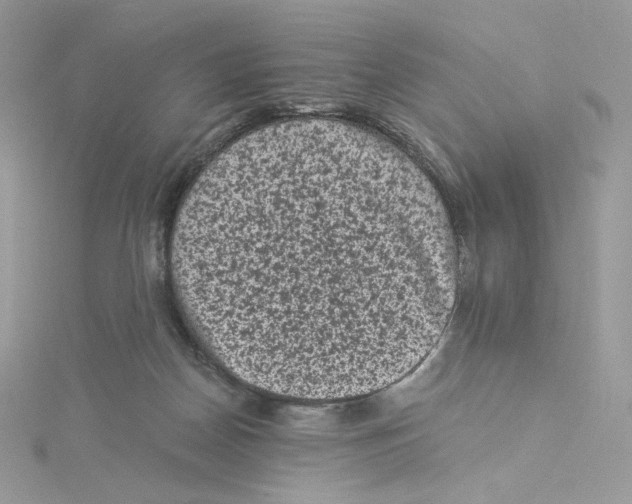 X0000114520170200911161324