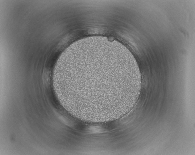 X0000114520171200911161324