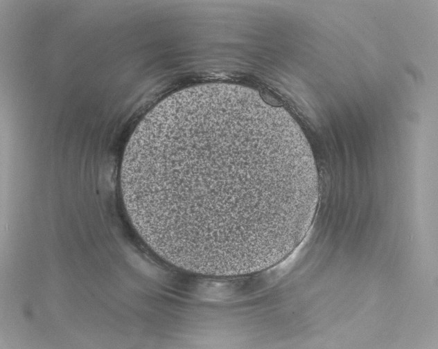 X0000114520174200911161324