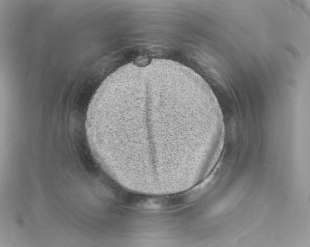 X0000114520178200911161324