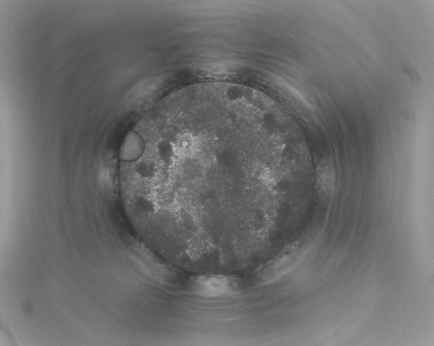 X0000114520181200911161324