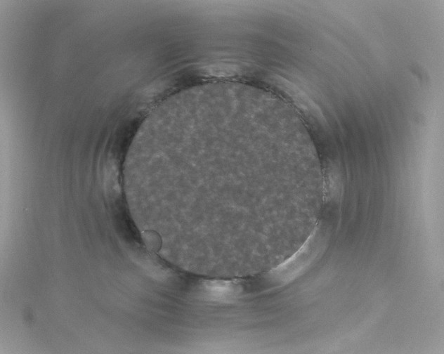 X0000114520187200911161324