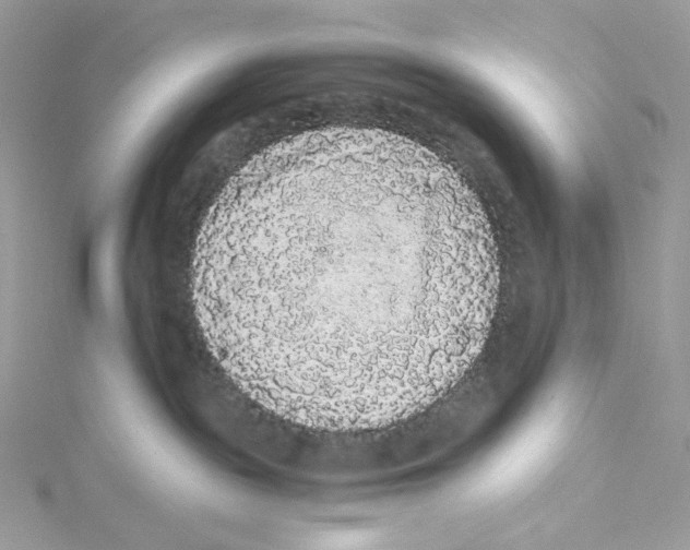 X0000114520189200911161324