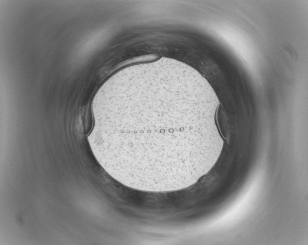 X0000114520190200911161324