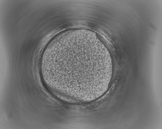 X0000114520193200911161323