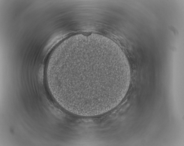 X0000114520194200911161323