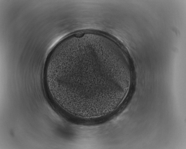 X0000114520196200911161323