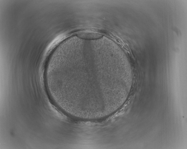 X0000114520197200911161323