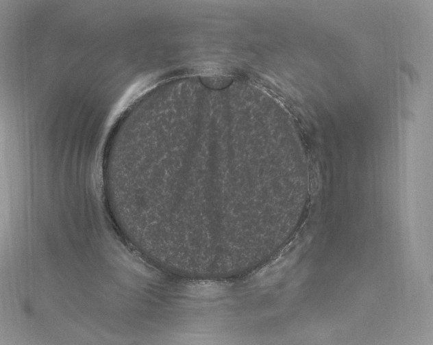 X0000114520198200911161323