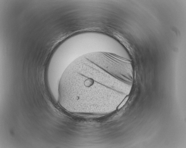 X0000114520201200911161323