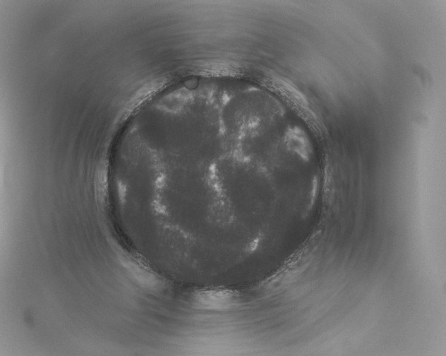 X0000114520202200911161323