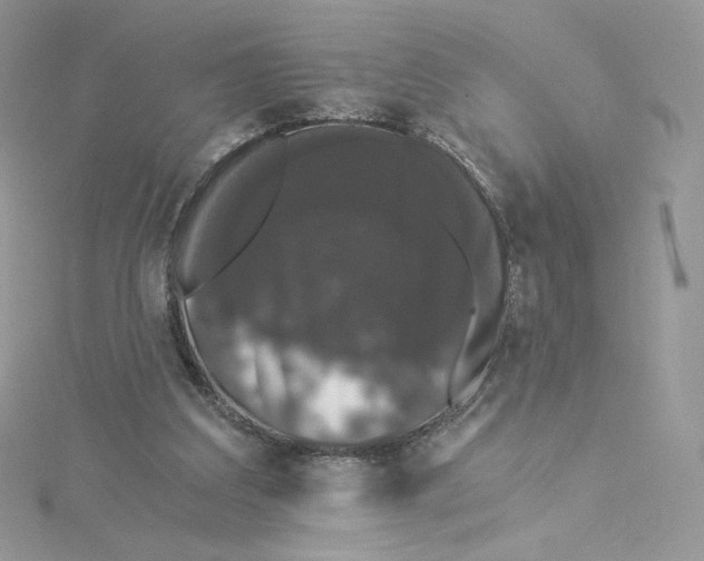 X0000114520203200911161323