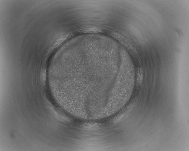 X0000114520206200911161323