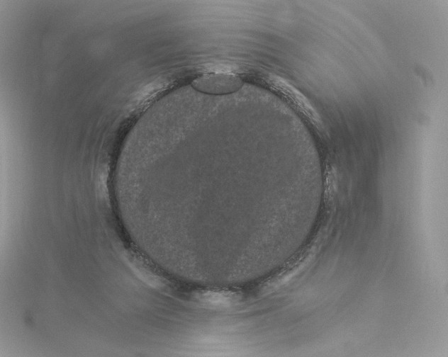 X0000114520209200911161323