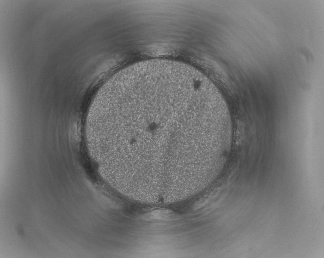 X0000114520210200911161323