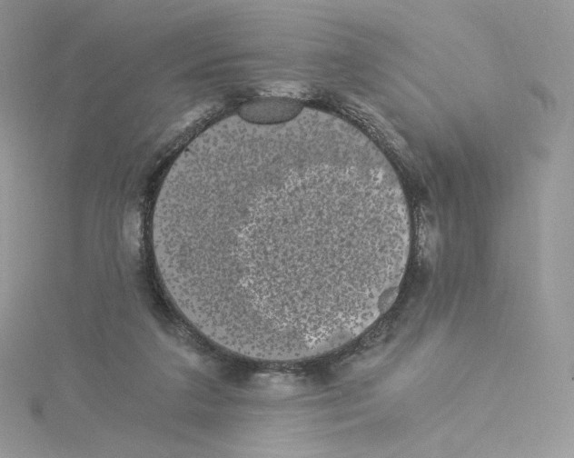 X0000114520211200911161323