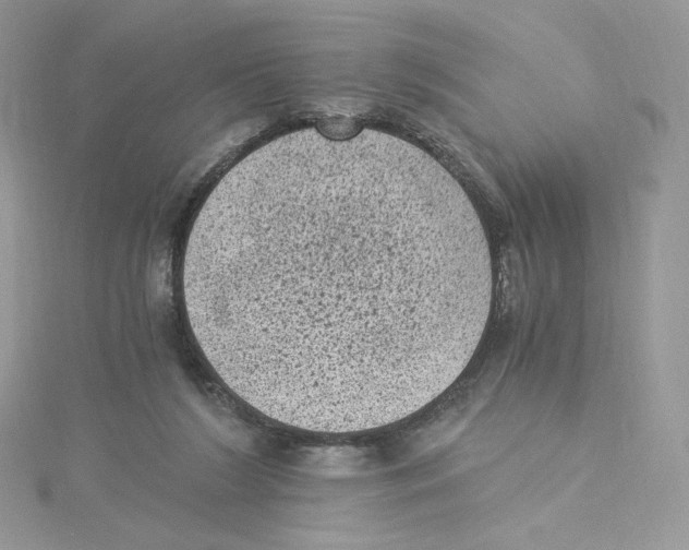 X0000114520212200911161323