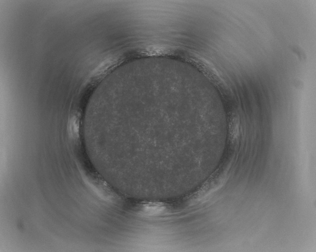 X0000114520214200911161323