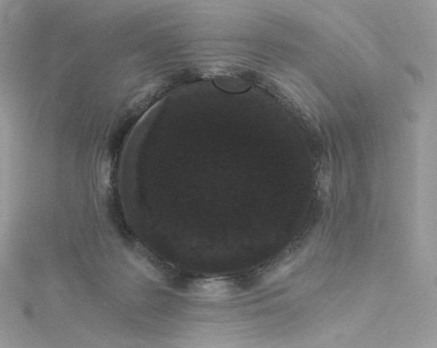 X0000114520219200911161323