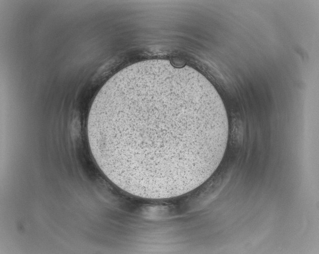 X0000114520220200911161323