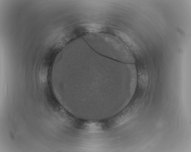 X0000114520221200911161323