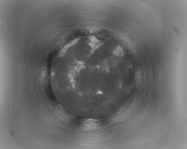 X0000114520222200911161323