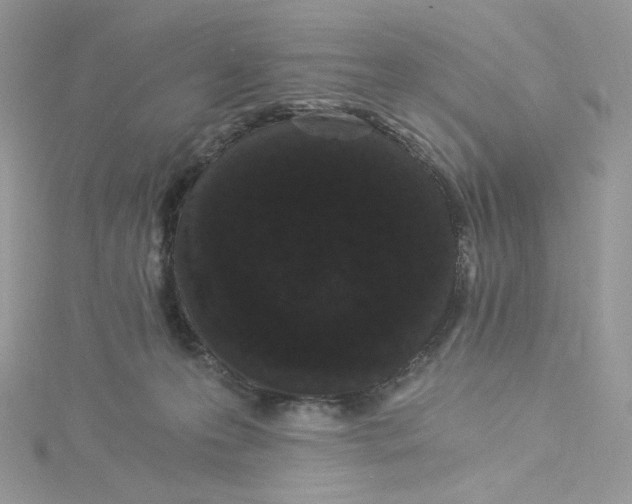 X0000114520223200911161323