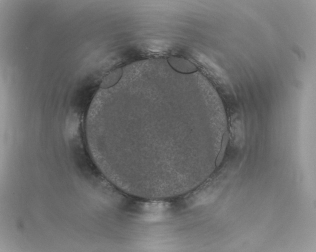 X0000114520225200911161323