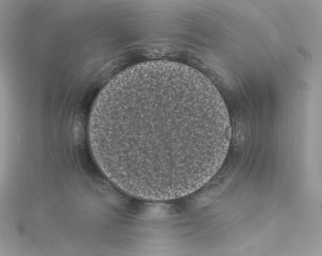 X0000114520226200911161323