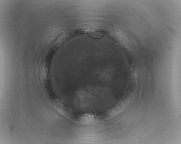 X0000114520227200911161323