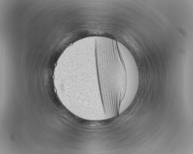 X0000114520229200911161323