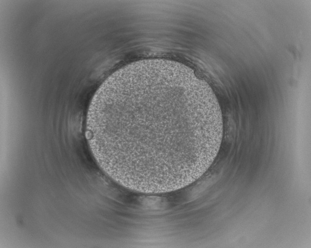 X0000114520230200911161323