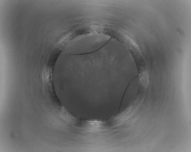 X0000114520233200911161323