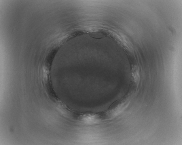 X0000114520235200911161323