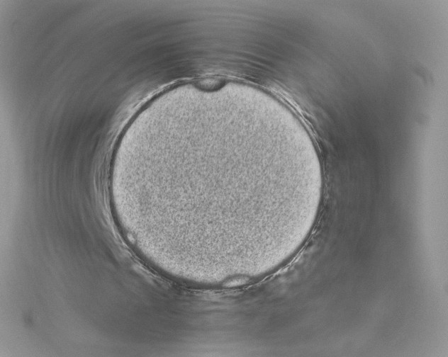 X0000114520241200911161322