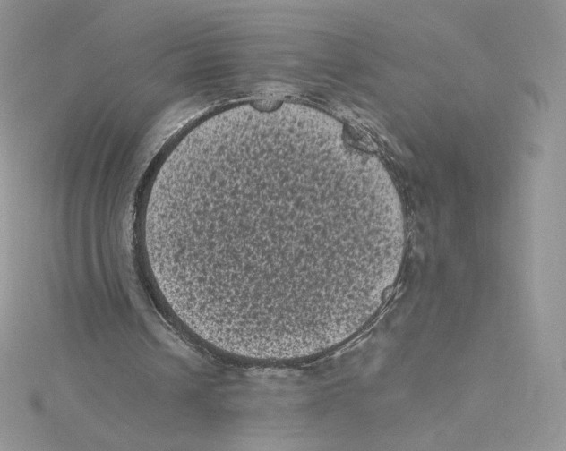 X0000114520242200911161322