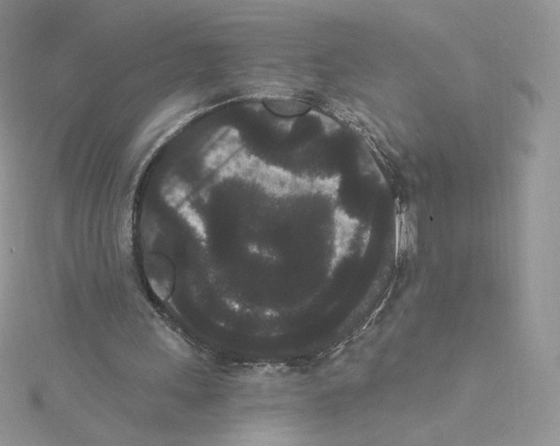 X0000114520243200911161322