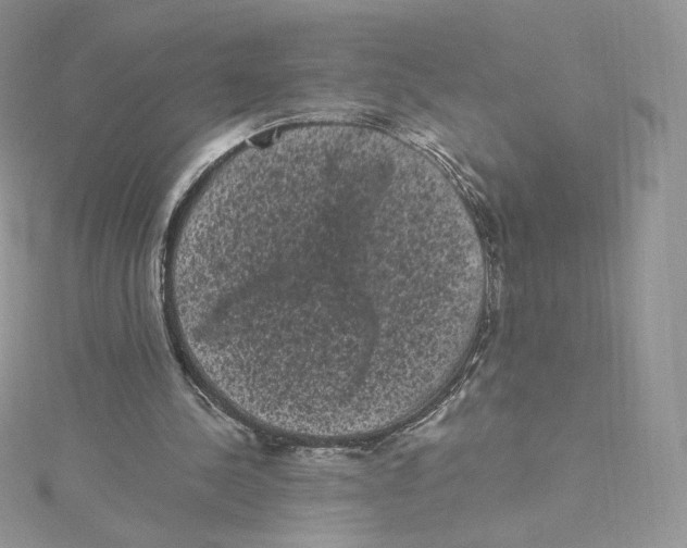 X0000114520244200911161322