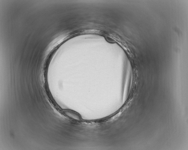 X0000114520245200911161322