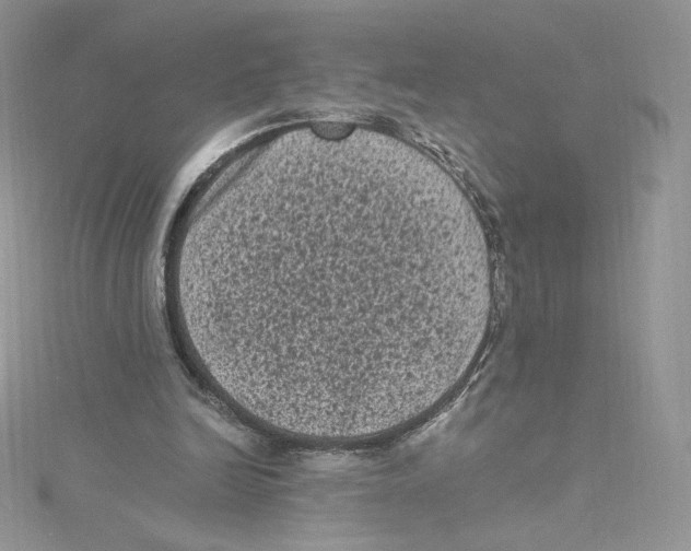 X0000114520246200911161322