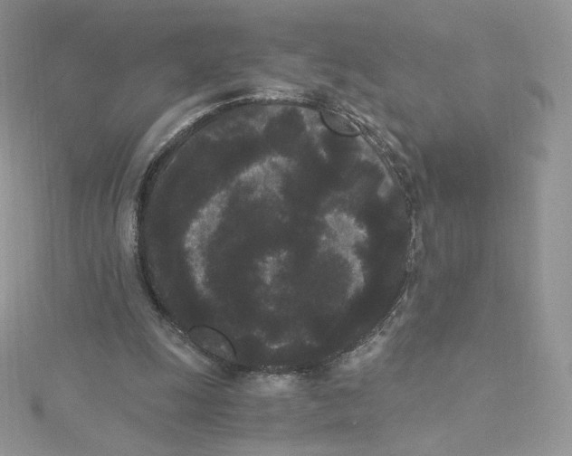 X0000114520247200911161322