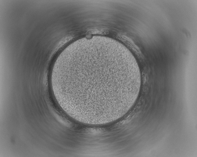 X0000114520250200911161322